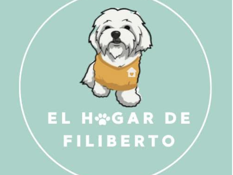 El Hogar de Filiberto: Un movimiento que busca formar familias con perros rescatados