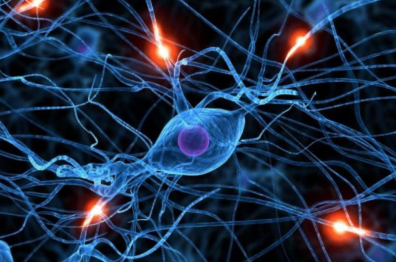 La optogenética, la tecnología que ayuda a modificar tus recuerdos